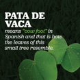 thumbnail image 2 of Pata de Vaca (1/2 LB), 2 of 2