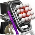 thumbnail image 1 of 2026 New Alurea Massager, Deep Tissue Massager, 16 Head Massage Gun Deep Tissue, 30 Levels & 3 Modes, Electric 8/16 Head Massagers for Neck, Shoulder (Black+Face Roller, 16 Head), 1 of 7