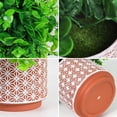 thumbnail image 3 of Artificial Potted Plants 3Pack Realistic Ferns Plants Plastic Rosemary Plants Potted in Pot Fake Small Eucalyptus Greenery for Office Desk Kitchen Bedroom Bathroom Outdoor Indoor Home Decor, 3 of 8