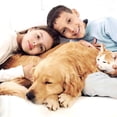 thumbnail image 2 of BestPet Pet Stroller Cat Dog Stroller Travel Folding Carrier,Orange, 2 of 7
