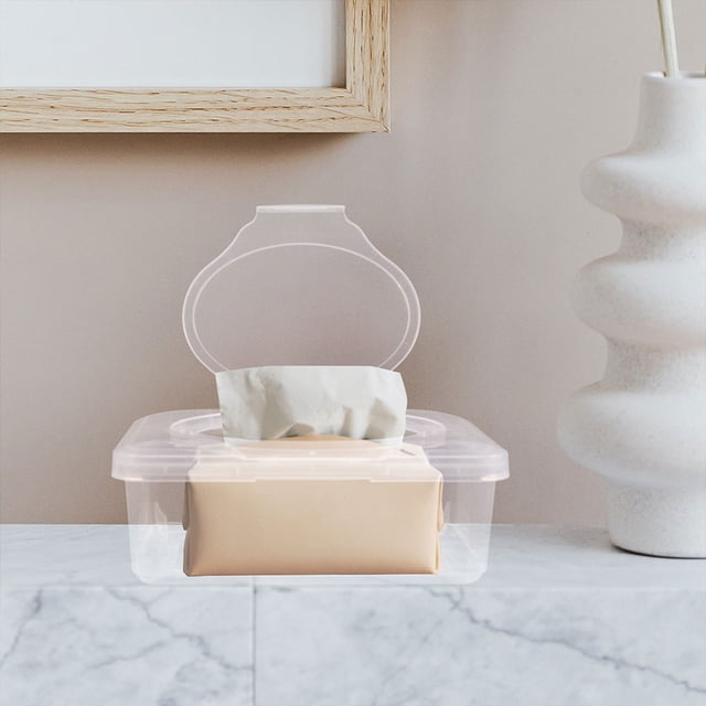 BESTYASH Étui Distributeur de Lingettes 2 Pcs Boîte Transparente Support PP pour Lingettes avec Utilisation à une Main