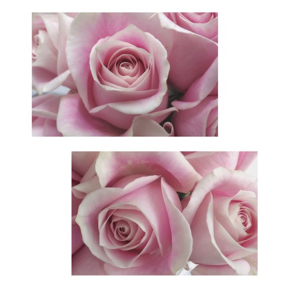 Gango Home Decor Contemporary Pink Blooming Roses Prints; Adult Decor; 2-18"x12" Unframed Prints