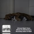 thumbnail image 5 of Energizer Smart Pet Treater con cámara de vídeo 2K, audio bidireccional, visión nocturna, Wi-Fi de doble banda de 5 Ghz y 2,4 Ghz, seguimiento de movimiento, mensajes grabados, alimentación remota par, 5 of 5