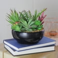 thumbnail image 2 of Northlight 8" Succulent Plant Artificial Arrangement in Bowl Vase - Green/Black, 2 of 3
