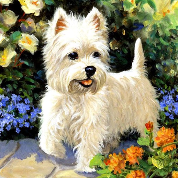 Pequeño Perro Blanco Lleno Diamantes Sala Estar DIY Diamante Mágico Cuadrado Diamante Punto Cruz Kit 30*30 Cm D238