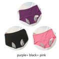 thumbnail image 1 of 3pcs Leak Proof Menstrual Panties Physiological Pants Women Underwear Period Comfortable Waterproof Briefs, 1 of 5