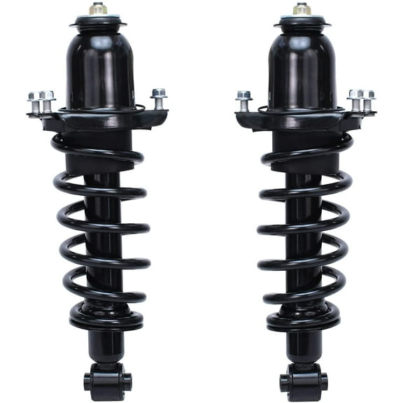 Detroit Axle - Rear 2pc Struts for 05-10 Scion tC, 2 Struts w/Coil Spring Assembly 2005 2006 2007 2008 2009 2010 Replacement