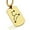 Gold, variant on Stainless Steel Leo (Lion) Astrology Constellation Dog Tag Pendant Necklace