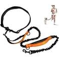 thumbnail image 1 of Leash dog Leash Running Hands Free Elastic Reflective Training Pet Bungee Dog Lead Leash, 1 of 5