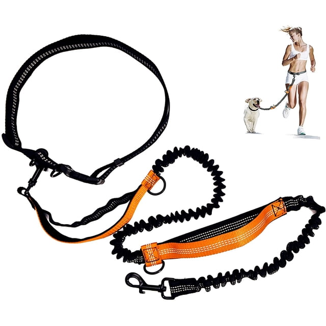 Leash dog Leash Running Hands Free Elastic Reflective Training Pet Bungee Dog Lead Leash