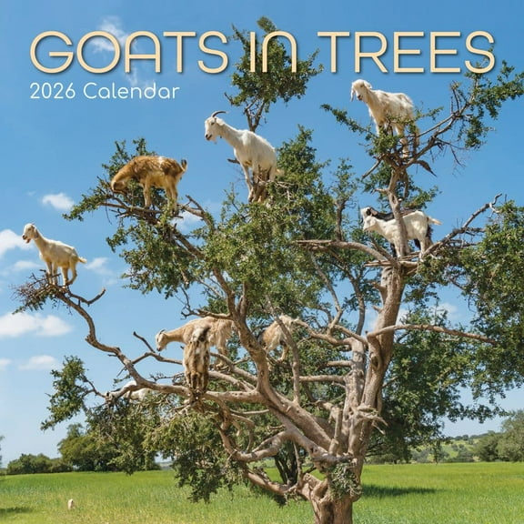 Gifted Stationery Co, Goats in Trees 2026 Wall Calendar, 12'' X 12'', 16-Month Calendar with Stapled Binding