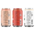 thumbnail image 5 of De La Calle Tepache, Core Variety Pack, Modern Mexican Soda, 12-Pack, 5 of 7