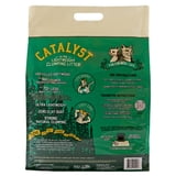 Catalyst Pet Softwood Natural Clumping Cat Litter, Original Formula, 15 ...