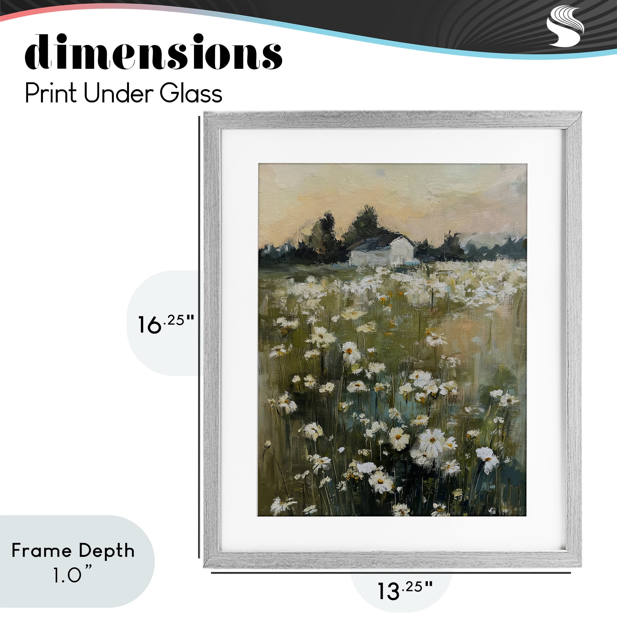 Stupell Industries Expressive Endless Daisies Gray Framed Print Under Glass, design by Svetlana Aleynikova