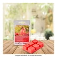 thumbnail image 4 of Cubos de Cera Hometrends Fresh Watermelon Lemonade Aroma 70 G, 4 of 4