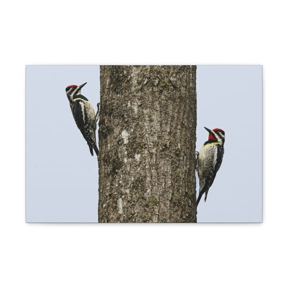Yellow Bellied Sapsuckers Couple on a Tree Trunk Print Animal Wall Art Wildlife Canvas Prints Wall Art Ready to Hang Unframed