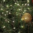 thumbnail image 2 of HOLIDAY TIME PL BO 200 Guirlande LED Blanche Chaude – Éclairage de Noël, 2 of 5