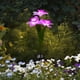 thumbnail image 5 of Luzes Solares Al Aire Libre Alimentado Por Energía Solar Flor Estaca Llevó la Luz, 3 Cabezas Al Aire Libre Narciso Patio Luz, Jardín Patio Decoración Estaca Luz Luces Solares Al Aire Libre Jardín, 5 of 7