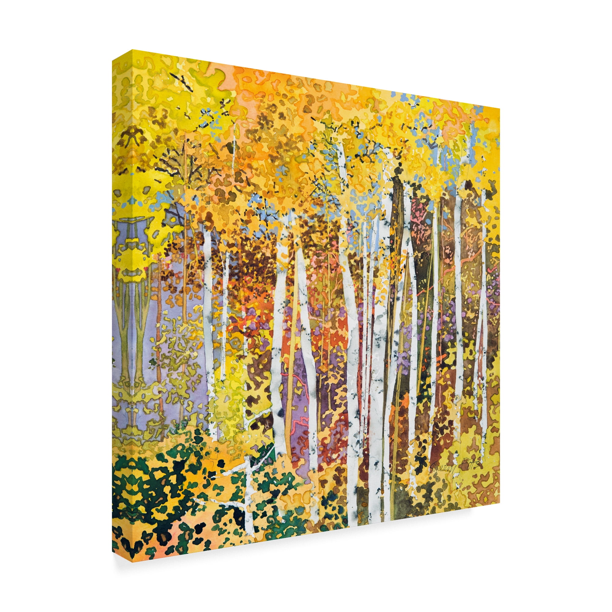 Trademark Fine Art 'Autumn Birches White' Canvas Art by Sharon Pitts
