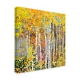 thumbnail image 2 of Trademark Fine Art 'Autumn Birches White' Canvas Art by Sharon Pitts, 2 of 3