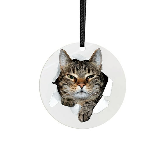 WIRESTER 2.75 inch Double-Sided Metal Aluminum Christmas Ornament, Festive Tree Decor for Mom, Dad & Loved One - Brown Tabby Cat Spying