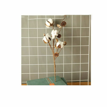 Fleur de coton sec naturel plante artificielle branche florale décoration  de mariage fleur artificielle maison décoration artificielle | Walmart  Canada