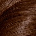 thumbnail image 3 of Clairol Color de pelo Nice n Easy Perfect 10 Clairol Professional 6WN Marrón Chocolate Claro 1 Application, 3 of 8