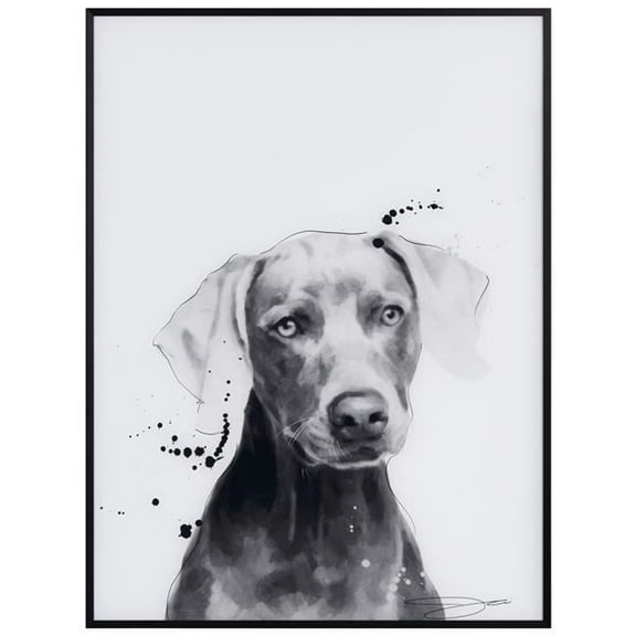 "Weimaraner" Pet Paintings on Printed Glass Encased with a Gunmetal Anodized Frame