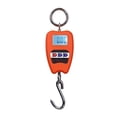 thumbnail image 1 of Digital Hanging Scale Handheld 200Kg Mini Crane Scale For ,Very sturdy, 1 of 5