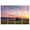 Color 4, variant on 8 Pack Art Acoustic Panels Sound Absorbing Birch Trees spring sunlight White Green Forest bright sunshine Decorative Soundproof Wall Panels Self Adhesive for Recording Studios Office 48"x32"