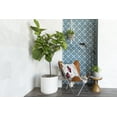 thumbnail image 3 of Remy 8-in x 8-in Pattern Field Tile in Brigette 5.28sf per box, 3 of 7