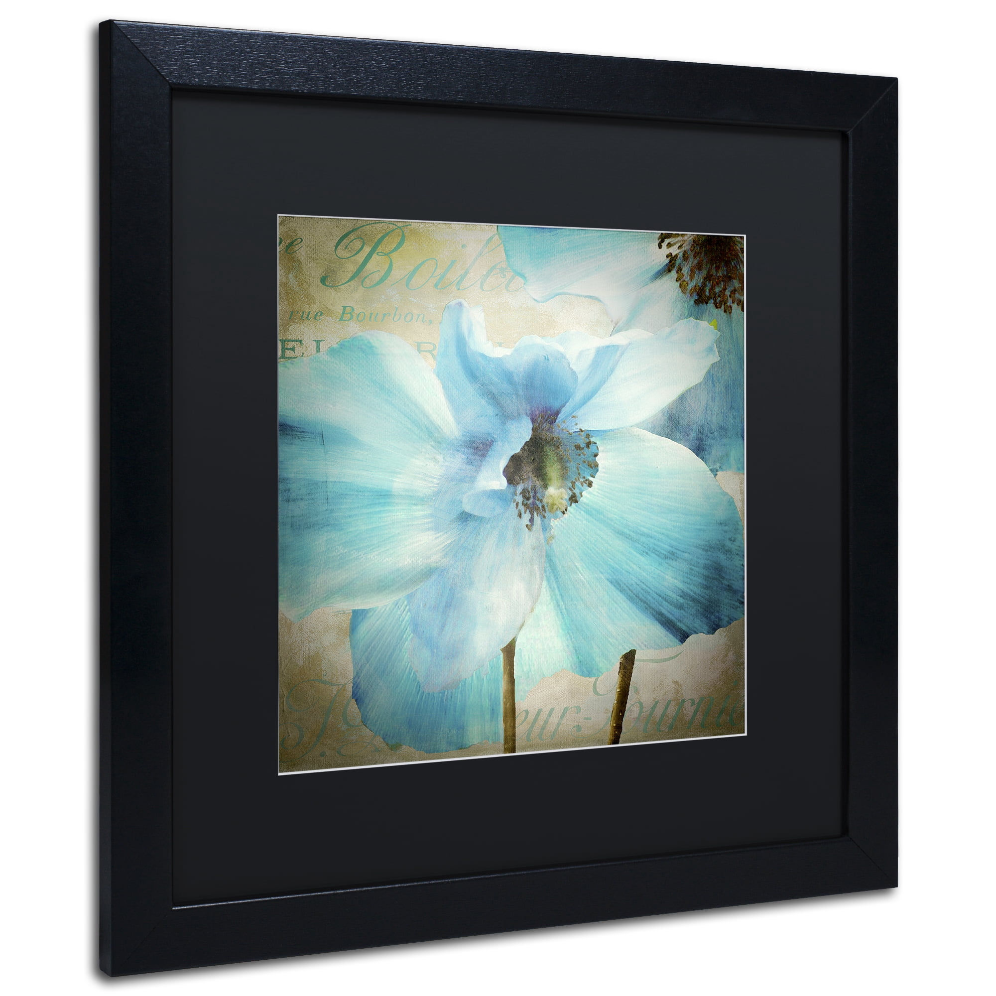 Trademark Fine Art 'Himalayan Blue II' Black Framed Art by Color Bakery