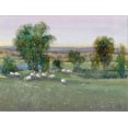 thumbnail image 2 of Art.com Field of Sheep II Stretched Canvas Print Wall Art by Tim O'toole, 16" x 12", 2 of 4