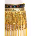 thumbnail image 6 of Haitryli Womens Belly Dance Skirt Fringed Hip Scarf Colorful Waistband Tiered Sequin Tassel Waist Chain Gold One Size, 6 of 7