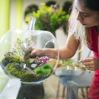 SuperTrees Scenic Express 2パック SuperTree StarterKit-Scenic Express