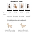 thumbnail image 2 of Wild One Cushioned Dog Harness, Moonstone, Extra Small, 2 of 5