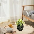 thumbnail image 4 of Artificial flowers, artificial succulents, potted plants, home decorations, artificial green plants - type:style1, 4 of 5