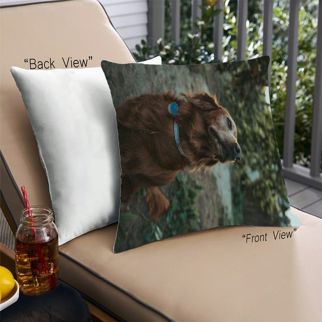 Ahgly Company Dogs Dogs Outdoor Throw Pillow, 18 inch by 18 inch