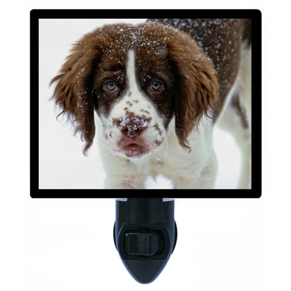 Night Light - Springer Spaniel Puppy. | Dog Theme, Includes Free Switchable Insert, 4W Bulb, E12 Base