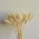 thumbnail image 1 of 50 piezas de decoración del hogar, ramos de hierba de cola de conejo, flores secas, flor real de Uraria, flor eterna, ramo de flores de hierba seca, accesorios para fotos, fiesta en casa y boda oso de fresa  Juguete, 1 of 3