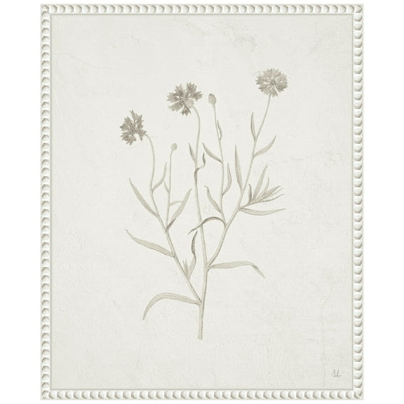 Amanti Art Plants from the Meadow V Framed Canvas Wall Art Print