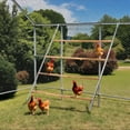 thumbnail image 6 of ZephyPaws Outdoor chicken perch，Perfect for Backyard Poultry,Chicken Perch Essentials,Easy to Assemble&Clean,Farm Chicken Toys，56" L x 41.5" W, 6 of 7