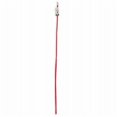 thumbnail image 1 of Petmate 223222 Laisse pour Chien Bas 0,37 x 6 Po, Rouge, 1 of 1