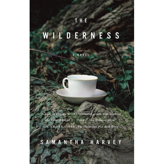 Pre-Owned The Wilderness (Paperback) 0307454770 9780307454775
