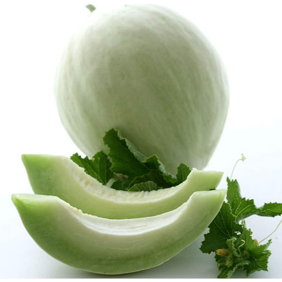 Organic Green Flesh Honeydew Melon - 1 g ~30 Seeds - Organic, Heirloom, Open Pollinated, Non-GMO, Farm & Vegetable/Fruit Gardening Seeds