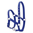 thumbnail image 4 of Amdohai Collier de Tête de Cheval Épaissi 6MM Réglable Sécurité Licou Bride, 4 of 7