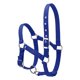 thumbnail image 4 of Irfora Collar de cabeza de caballo engrosado de 6 mm Cabezal de seguridad ajustable Brida de cabeza Irfora Collar de cabeza, 4 of 7