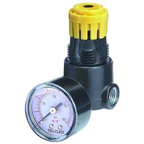 Tru Flate 24-444 Régulateur de Pression d'Air