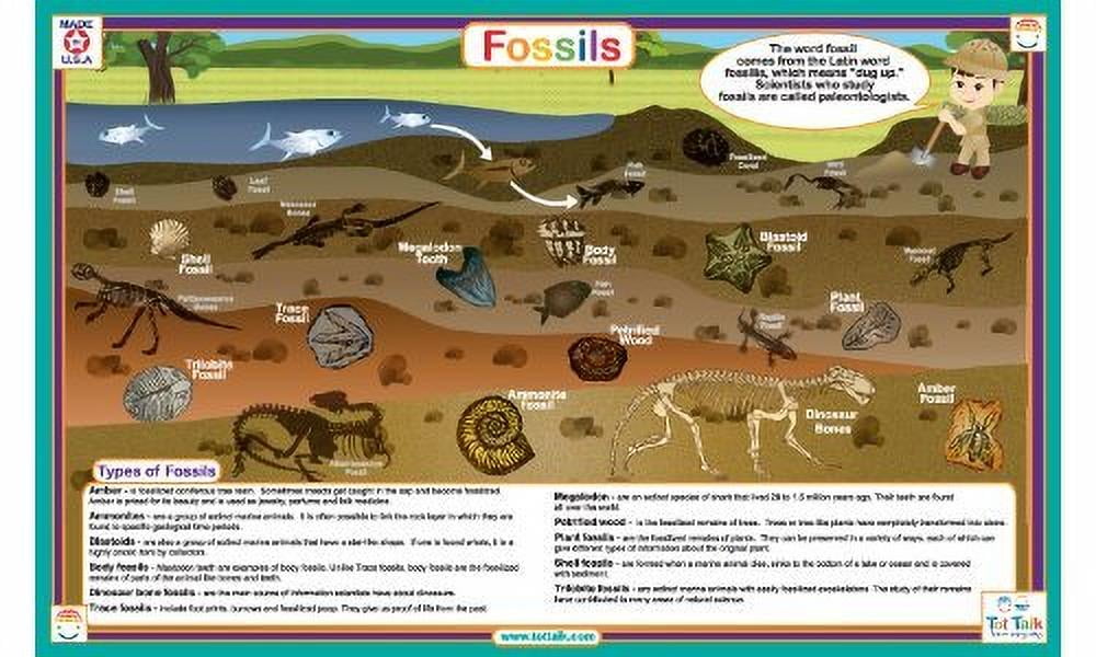 Placemat Tot Talk Fossils Meal Dining Kids Mat tot1053