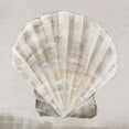 thumbnail image 2 of Watts, Eva 26x26 White Modern Wood Framed Museum Art Print Titled - Neutral Shells II, 2 of 4